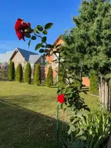 Волшебный Сад - 28