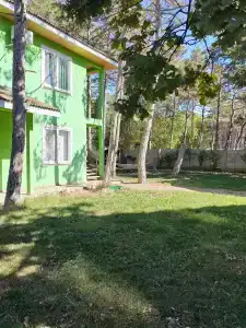 Зеленый Мир - 5