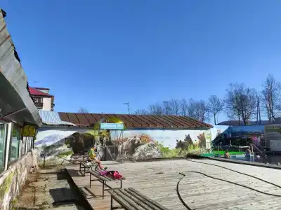 Медвежий угол - 41