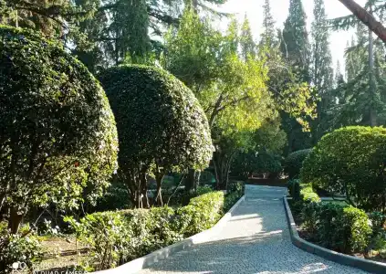 Белоруссия - 16