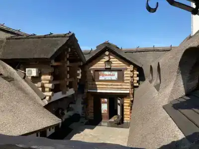 Диканька на Тамани - 32