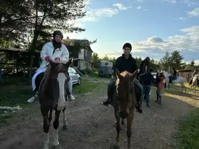Паллада пастораль - 18