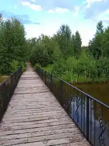 База отдыха Некрасовские Дачи - 41
