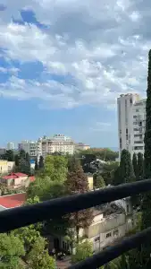 Магнолия - 31