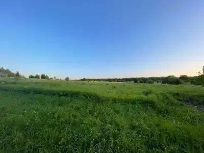 Северная надежда - 40