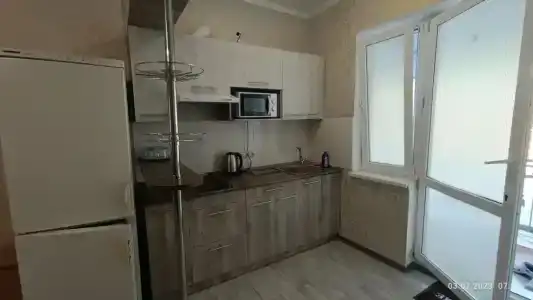 Кипарис-канака - 37