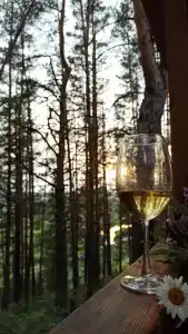 Суеты. нет - 19