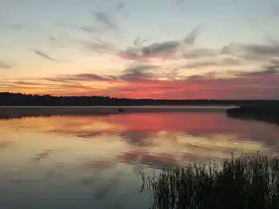 Колокольцево - 5