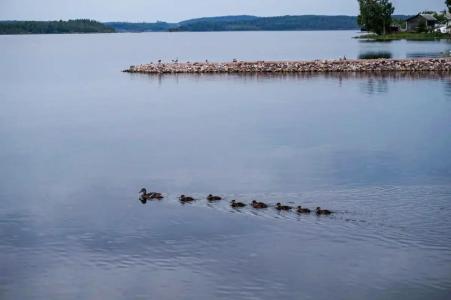 Длинный берег - 83