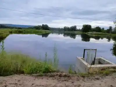 Сура - 35