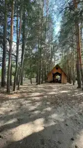 Простоквашино - 38