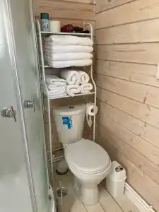 Калина красная - 12