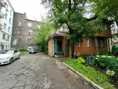 Каштан - 13
