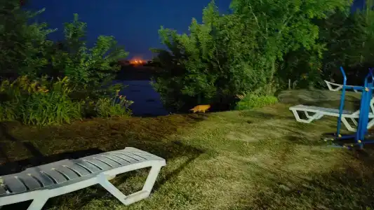 Светлый - 20