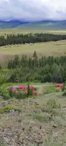 Ясная поляна - 32