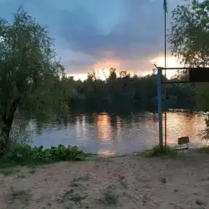 Бодрость - 31