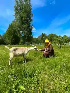 Медовый хуторок - 11