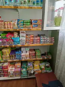 Пралеска - 43