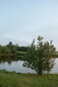 Дом у пруда - 2