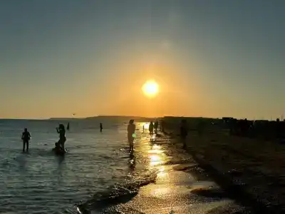 Веселовка Парк - 80