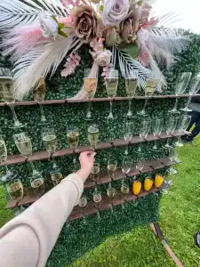 Маркомусы - 36