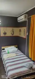 Aladdin - 11