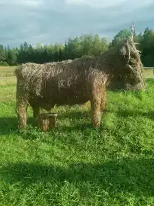 Янов хутор - 44