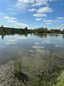 Мизиновские пруды - 39