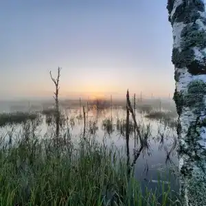 Раздобарино - 20