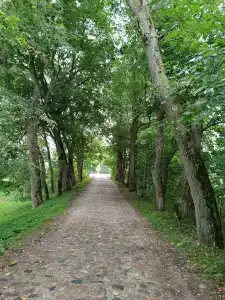 Вальдхаузен - 50