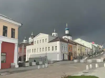 Пантера - 42