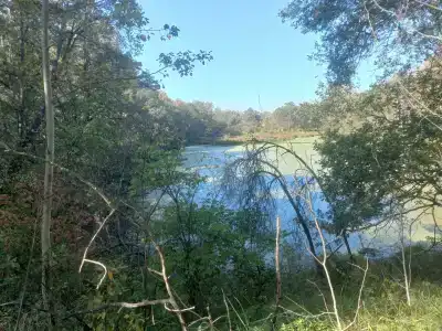 Улыбышево - 78