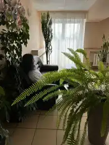 Воздушная Гавань - 50