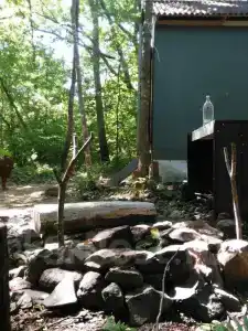 Домик Рыбака - 7