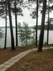 Золотые пески - 49