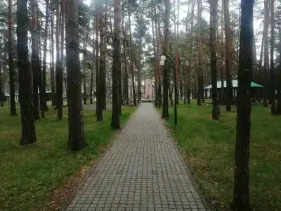 Мечетлинский - 17