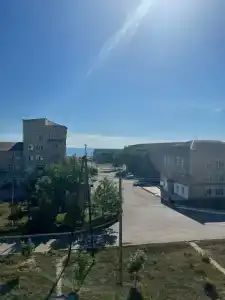 Пальмира - 16