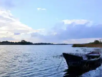 База отдыха электродного завода - 40