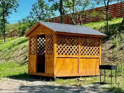 Амбассадор - 48