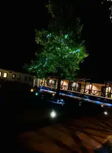 Шале Гринвуд - 91