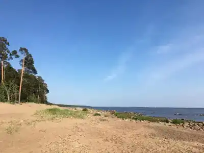 Белое солнце - 75