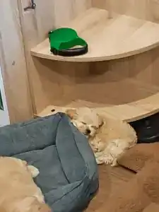 Каспий-2 - 27