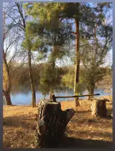 Нептун - 47