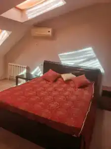 Клевер - 35