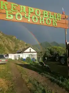 Кедровый бочонок - 28
