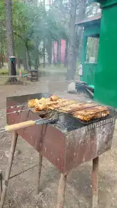 Сосновый бор - 58