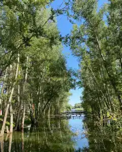 Жемчужина - 5