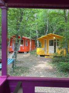 Эколоджия - 32