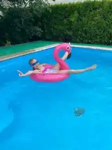 Гармония - 31