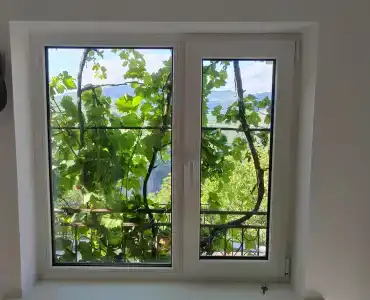 Пение птиц - 23